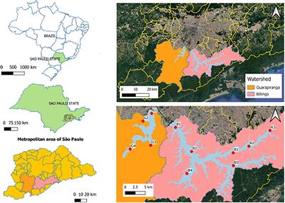 Higher Abundance of Sediment Methanogens and Methanotrophs Do Not Predict the Atmospheric Methane and Carbon Dioxide Flows in Eutrophic Tropical Freshwater Reservoirs